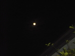 P1020010.JPG